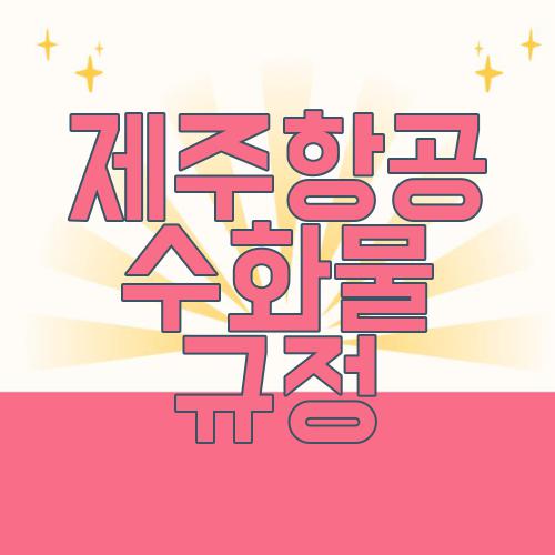 제주항공 수화물 규정