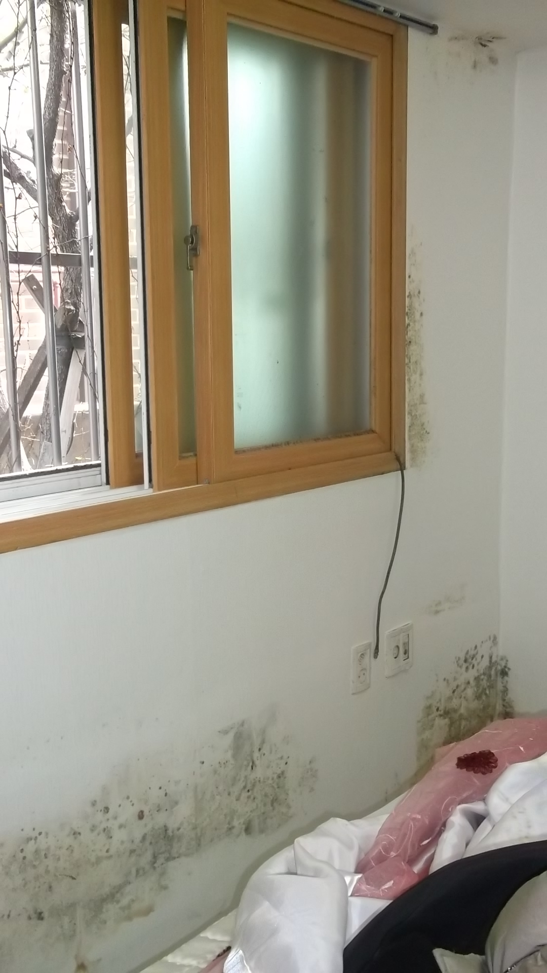 빌라 필로티 벽지 곰팡이제거 해결!
