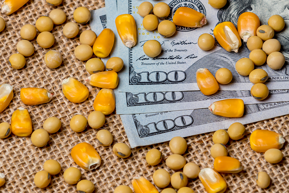  Beef, poultry export value bring significant returns on corn, soybeans