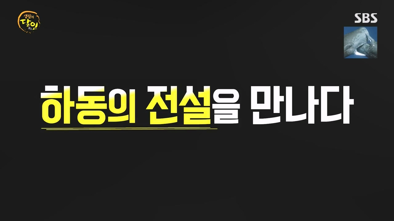 생활의 달인.E911.231114p-NEXT.mp4_20231114_200750.304.jpg