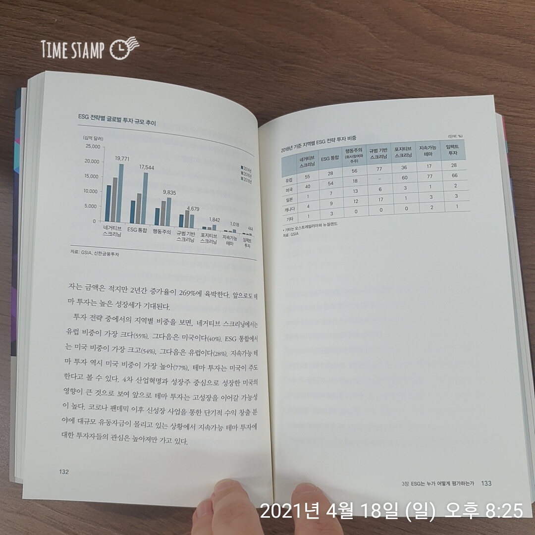  ESG 혁명이 온다, 투자전략