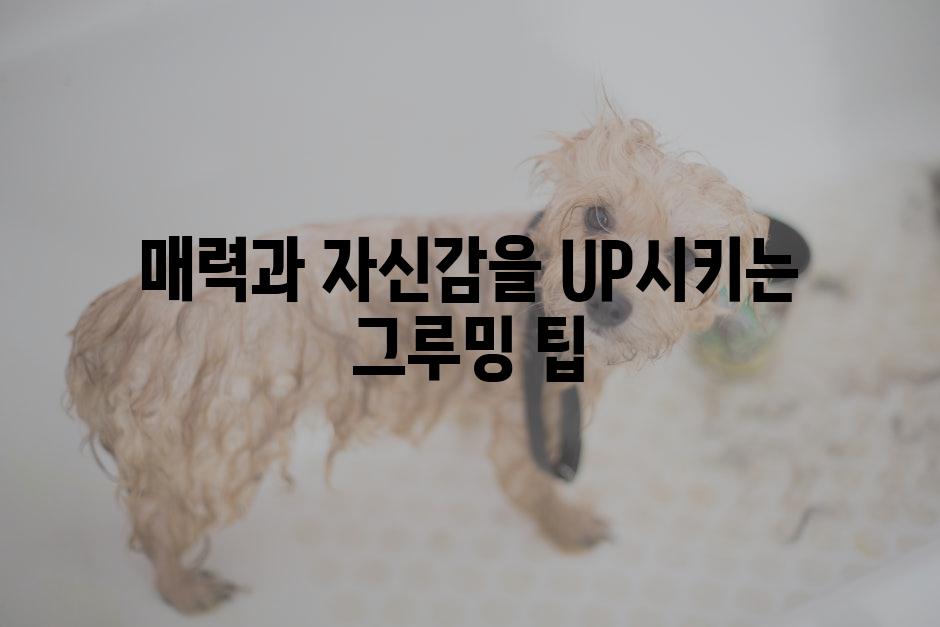 매력과 자신감을 UP시키는 그루밍 팁