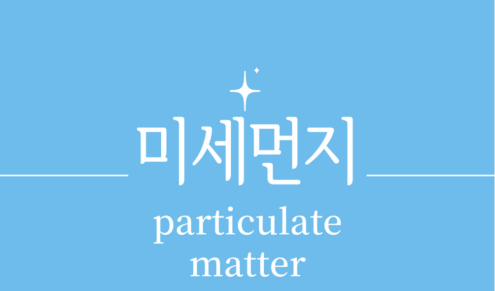 &#39;미세먼지(particulate matter)&#39;