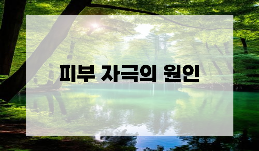1. 피부 자극의 원인