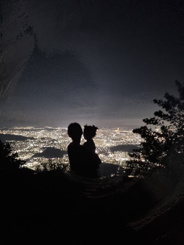 식장산 야경