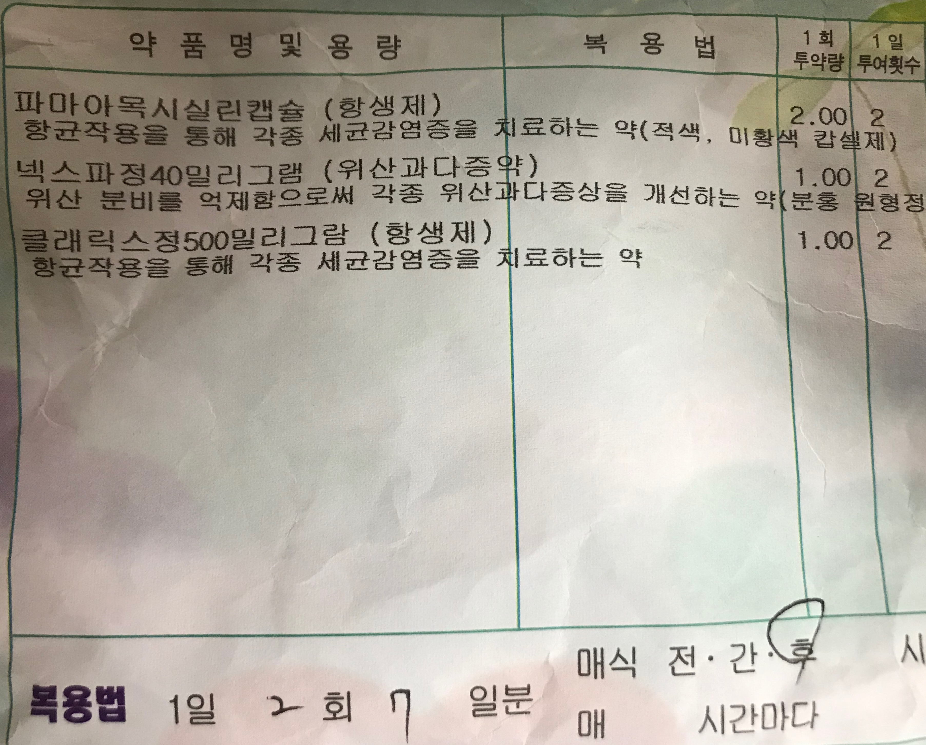  헬리코박터균 증상과 치료 (with. 항생제 부작용 폭탄..)