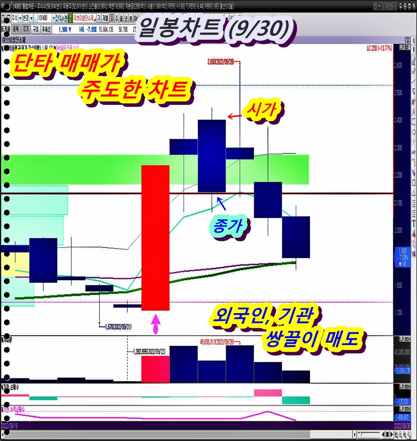 일-봉-차트