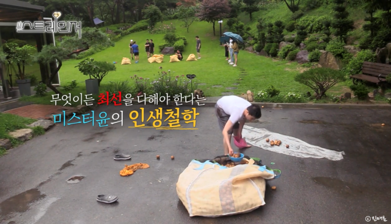 방영종료한국예능 스트레인저 1기 결말 출연진 21