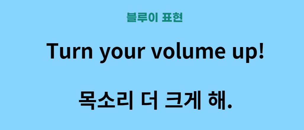 외국어 공부 영어 배우기 ( 디즈니 플러스 블루이 표현 1 )