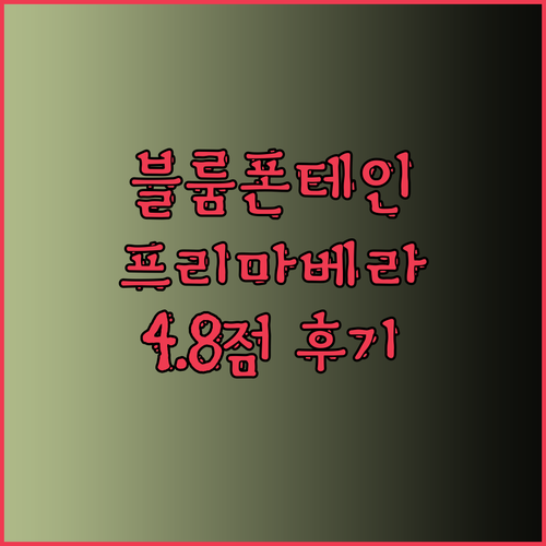 블룸폰테인 여행 최고의 선택 프리마베