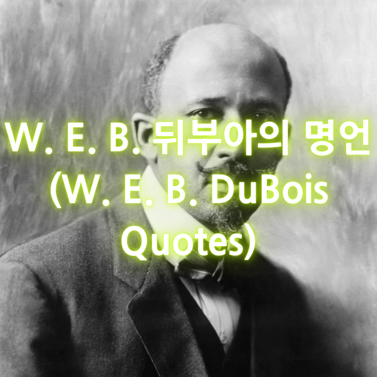 W. E. B. 뒤부아의 명언 (W. E. B. DuBois Quotes)