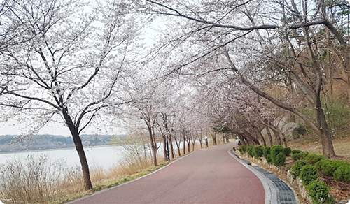 (주)한일리조트 이미지