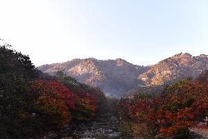 내장산단풍-7