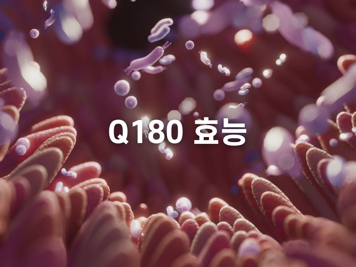 락토바실러스 플란타넘 효능.jpg