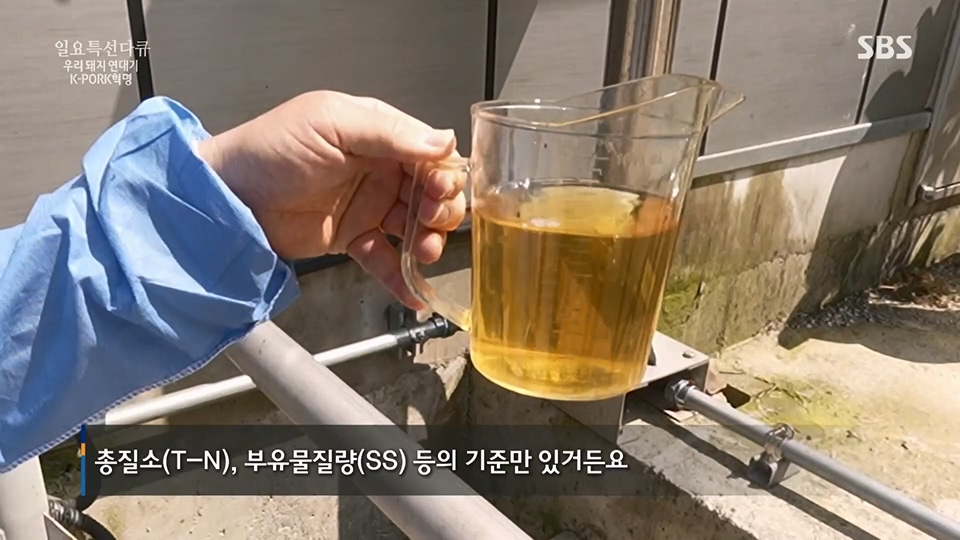 일요 특선 다큐멘터리.E315.230716p.H264-F1RST.mp4_20230717_210617.835.jpg