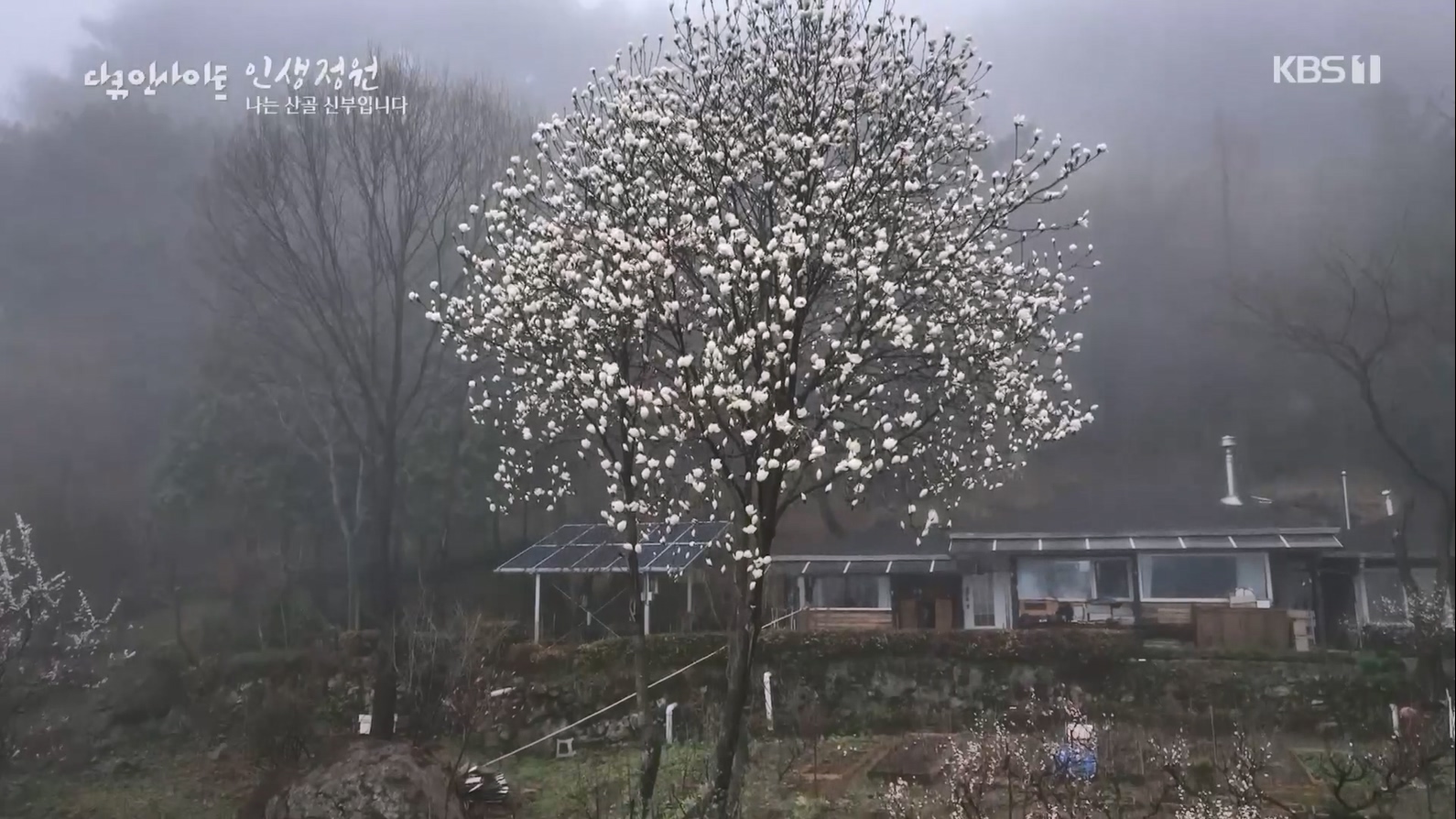 다큐 인사이트.E153.230608p.H264-F1RST.mp4_20230612_204053.910.jpg