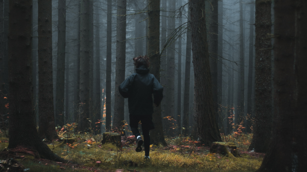숲에서-달리는-사진