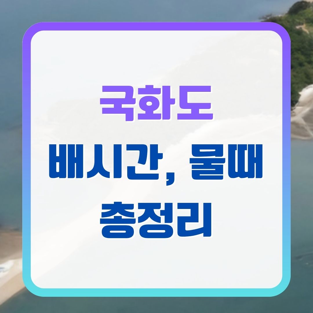국화도-배시간표