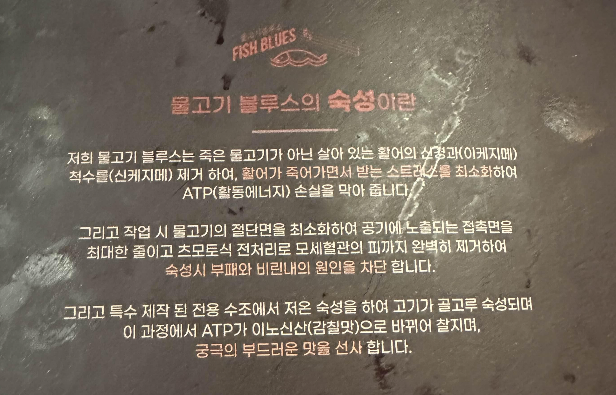 회 숙성방법