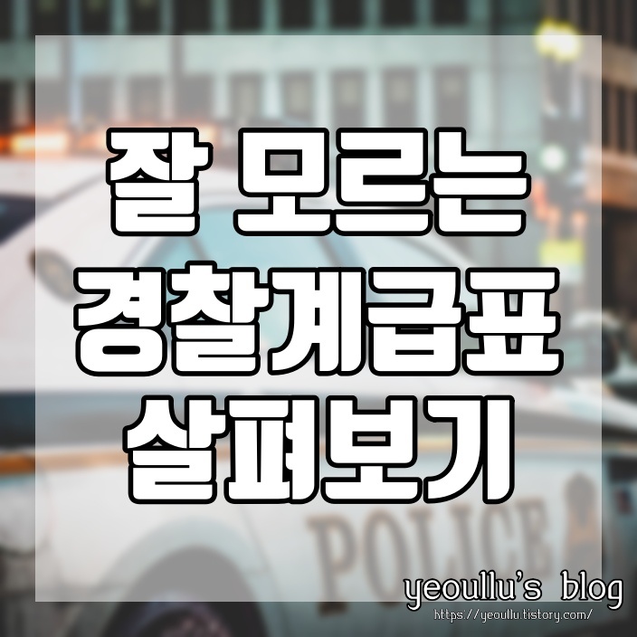  많은 사람들이 잘 모르는 경찰 계급표 정리