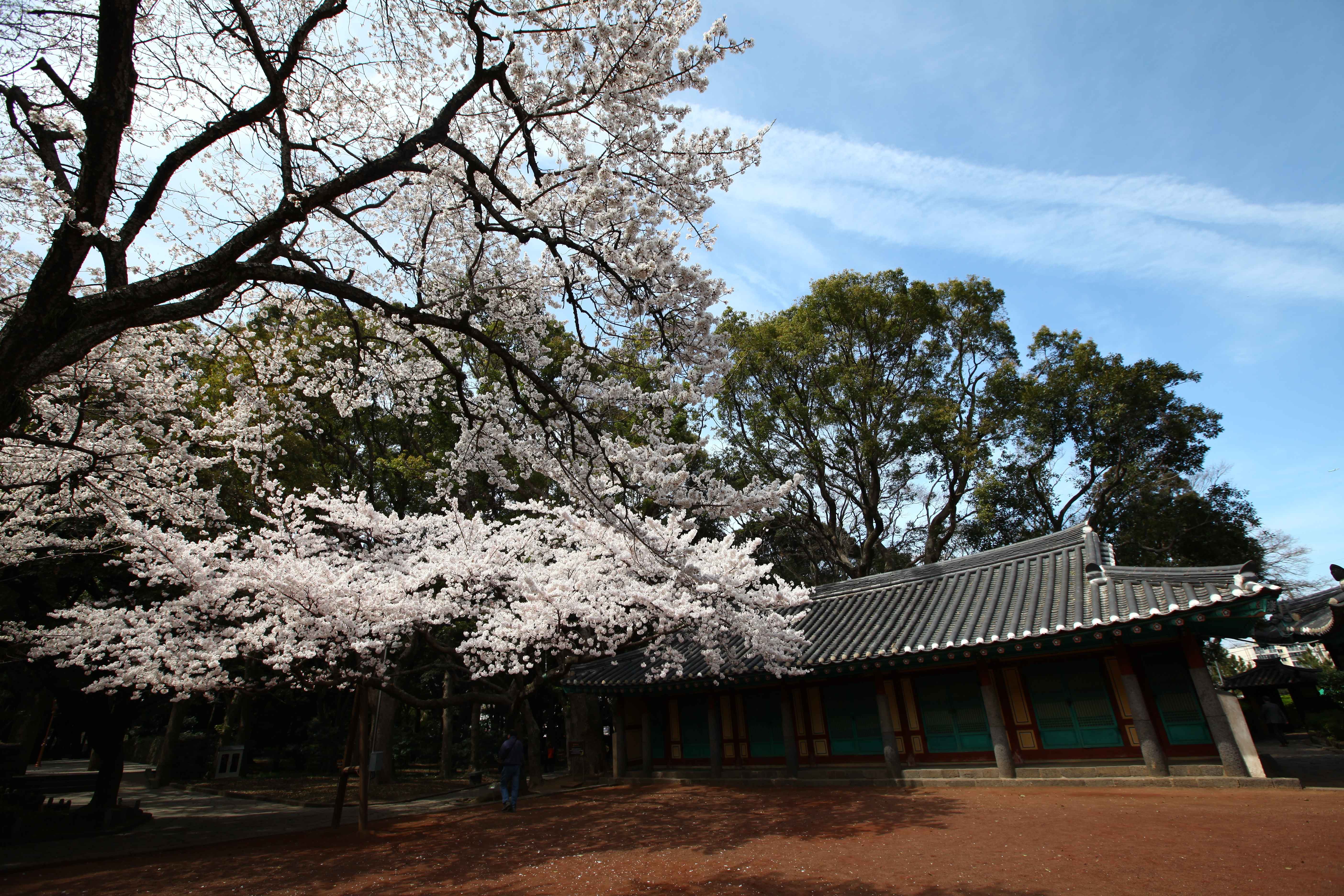 제주 삼성혈