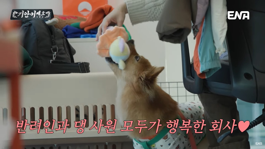 반려인이라면 꿈의 직장인 기업...jpg | 인스티즈