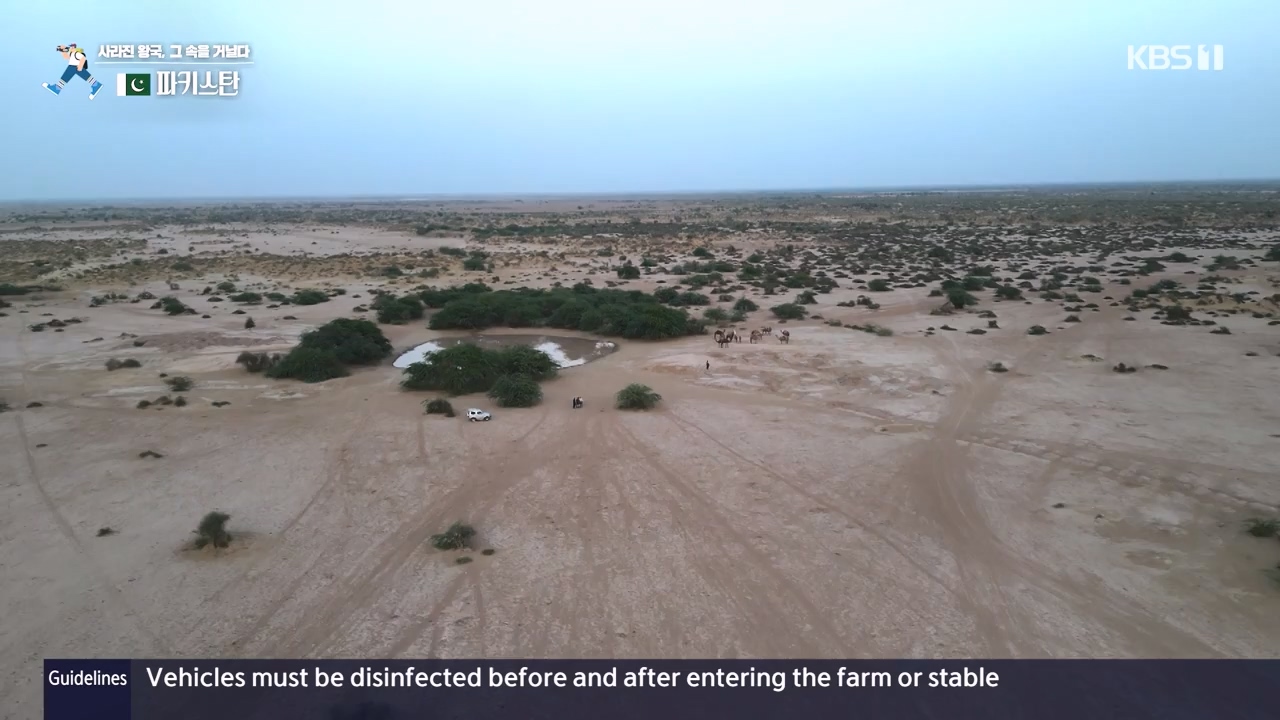 걸어서 세계속으로.E817.231112p-NEXT.mp4_20231114_213233.377.jpg