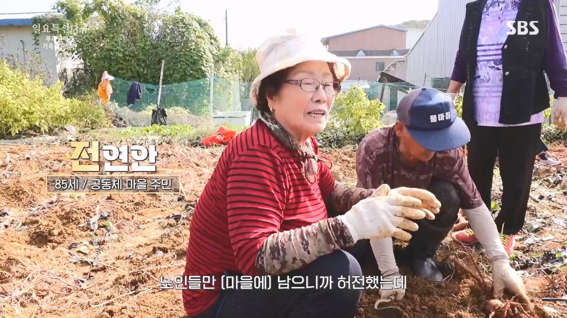 일요 특선 다큐멘터리.E327.231105p.H264-F1RST.mp4_20231105_165430.324.jpg