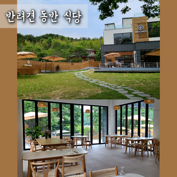 그루 이미지