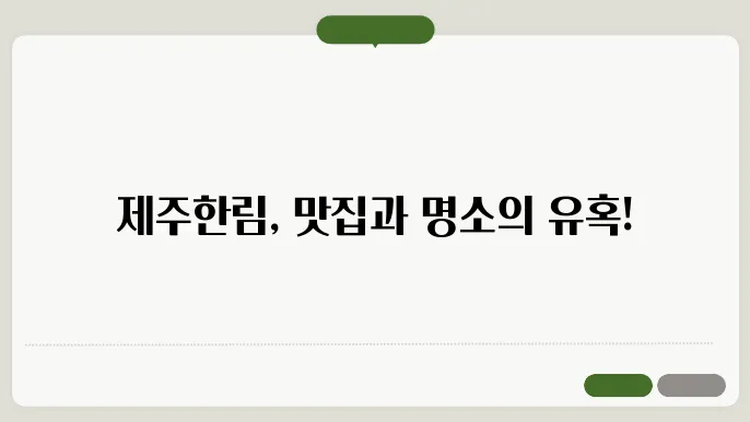 제주한림가볼만한곳 맛집 정보 총정리