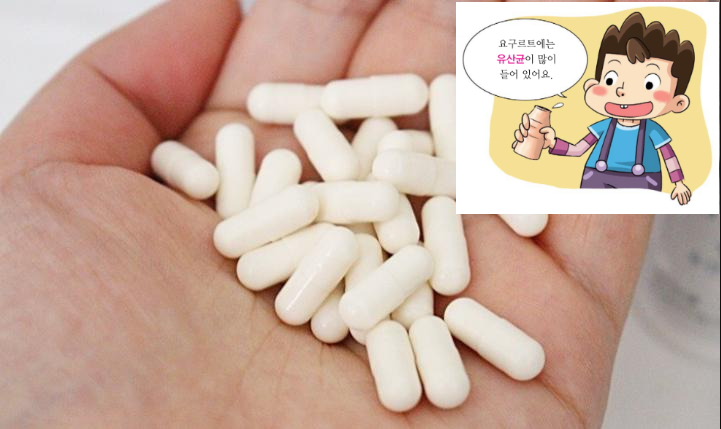  유산균을 먹어야 하는 이유