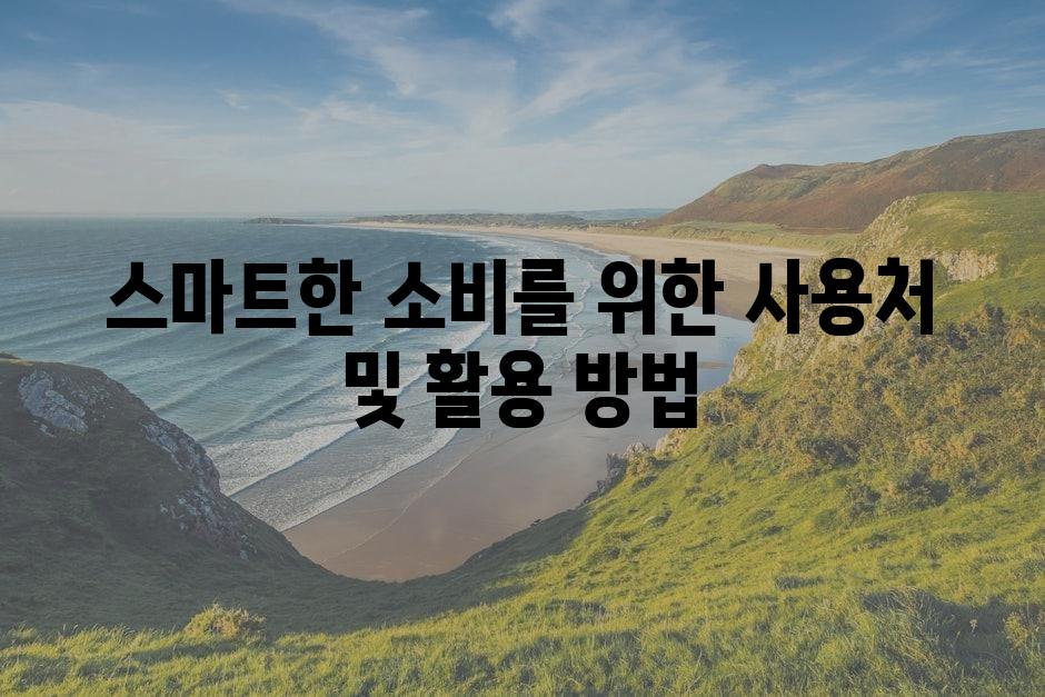 스마트한 소비를 위한 사용처 및 활용 방법