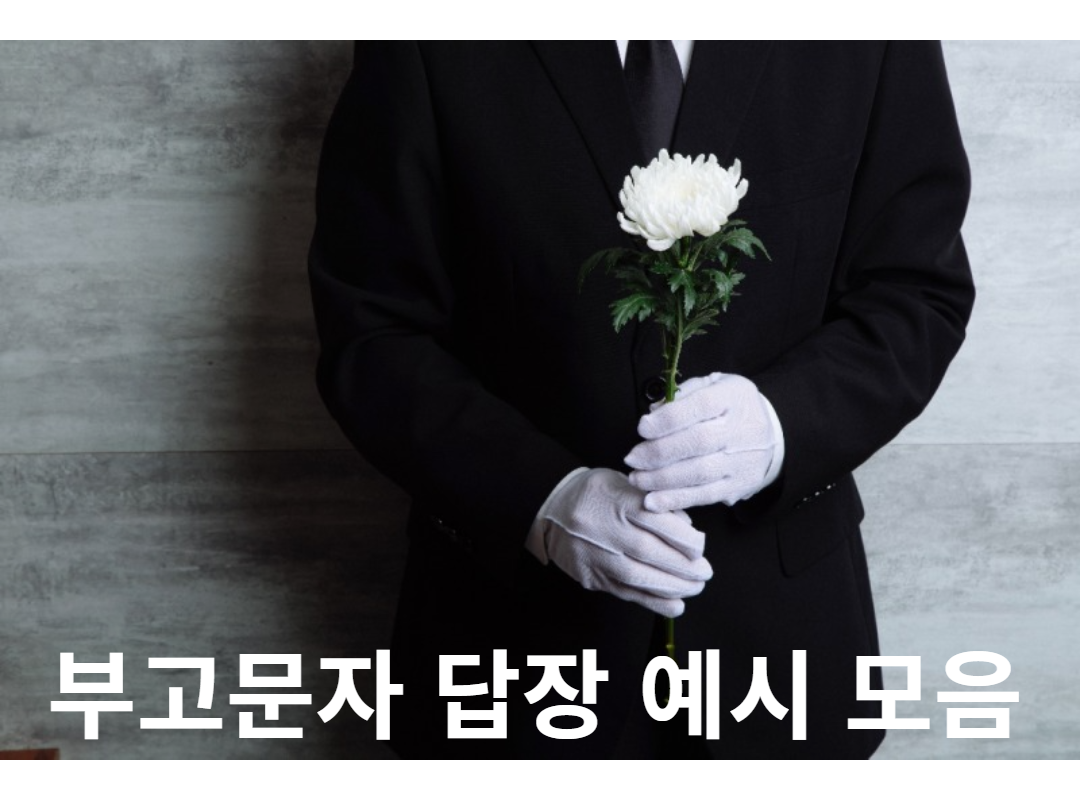  부고 문자 답장 예시 모음