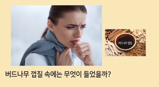 아스피린의 유래 버드나무