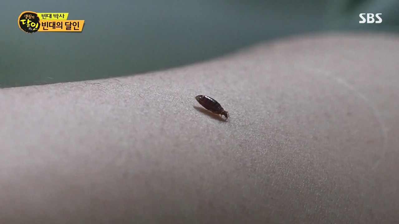 생활의 달인.E911.231114p-NEXT.mp4_20231114_201342.528.jpg