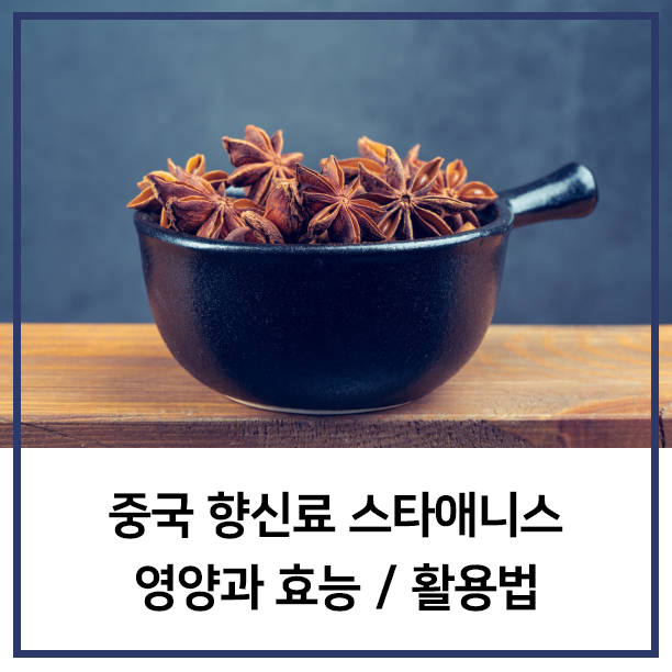 중국 향신료 스타애니스 팔각 영양과 효능 활용법