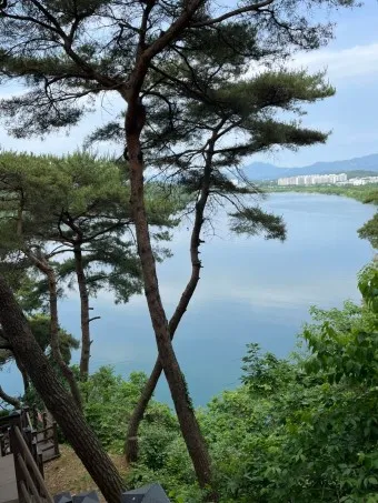 충주 가볼만한곳 베스트10 현지인 추천 필수코스_14
