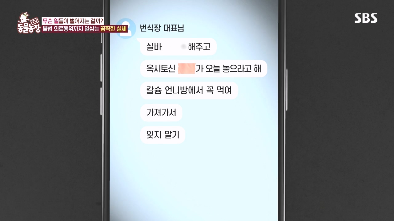 TV 동물농장.E1142.231023p-NEXT.mp4_20231022_174009.655.jpg