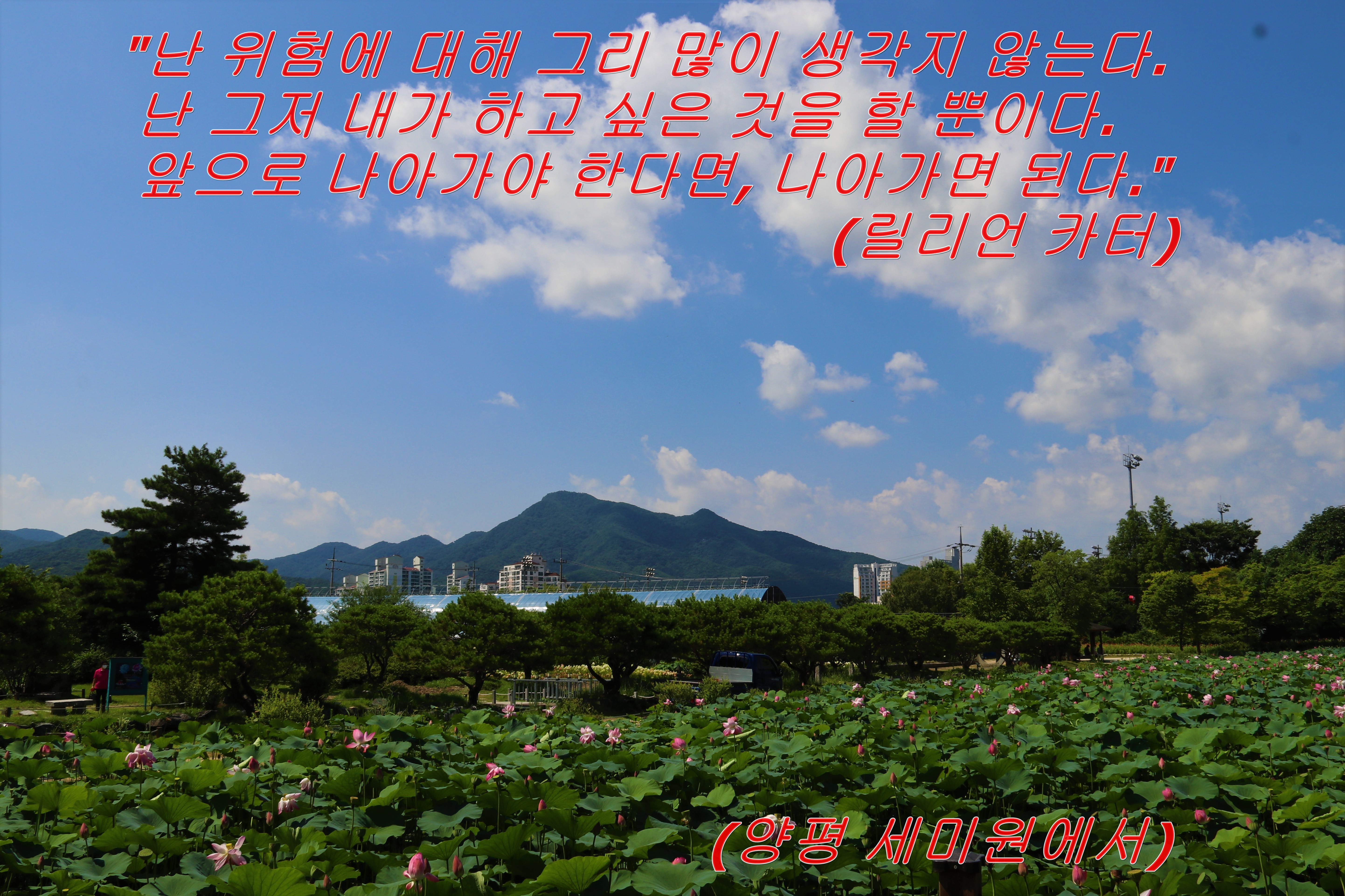 릴리언 이미지