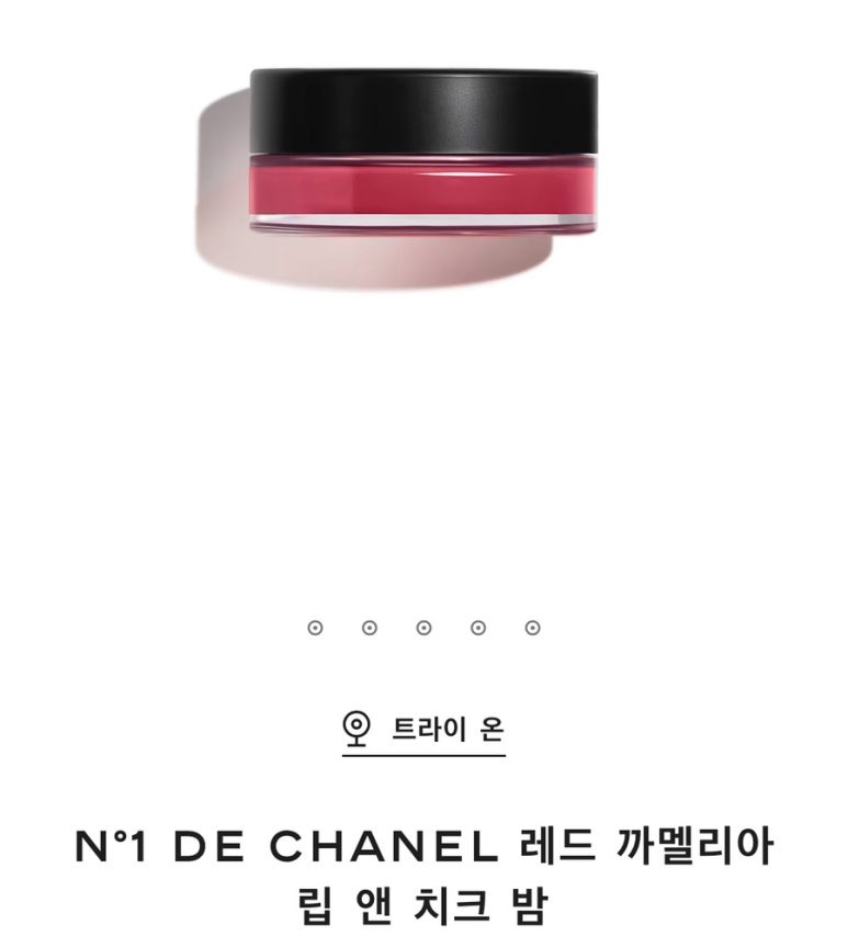 치크 이미지