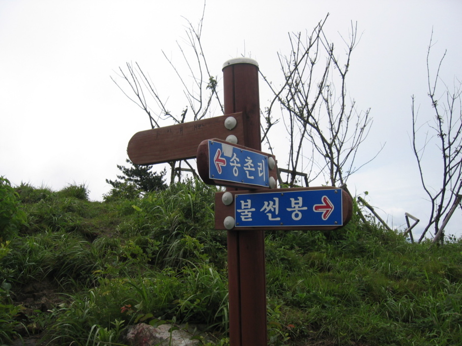 태양사 이미지