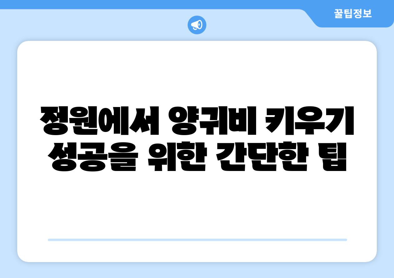 정원에서 양귀비 키우기 성공을 위한 간단한 팁