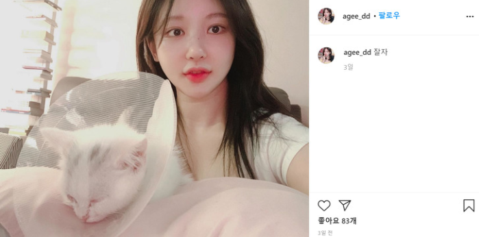  BJ 아지땅 사망설 은퇴 카톡 입장정리