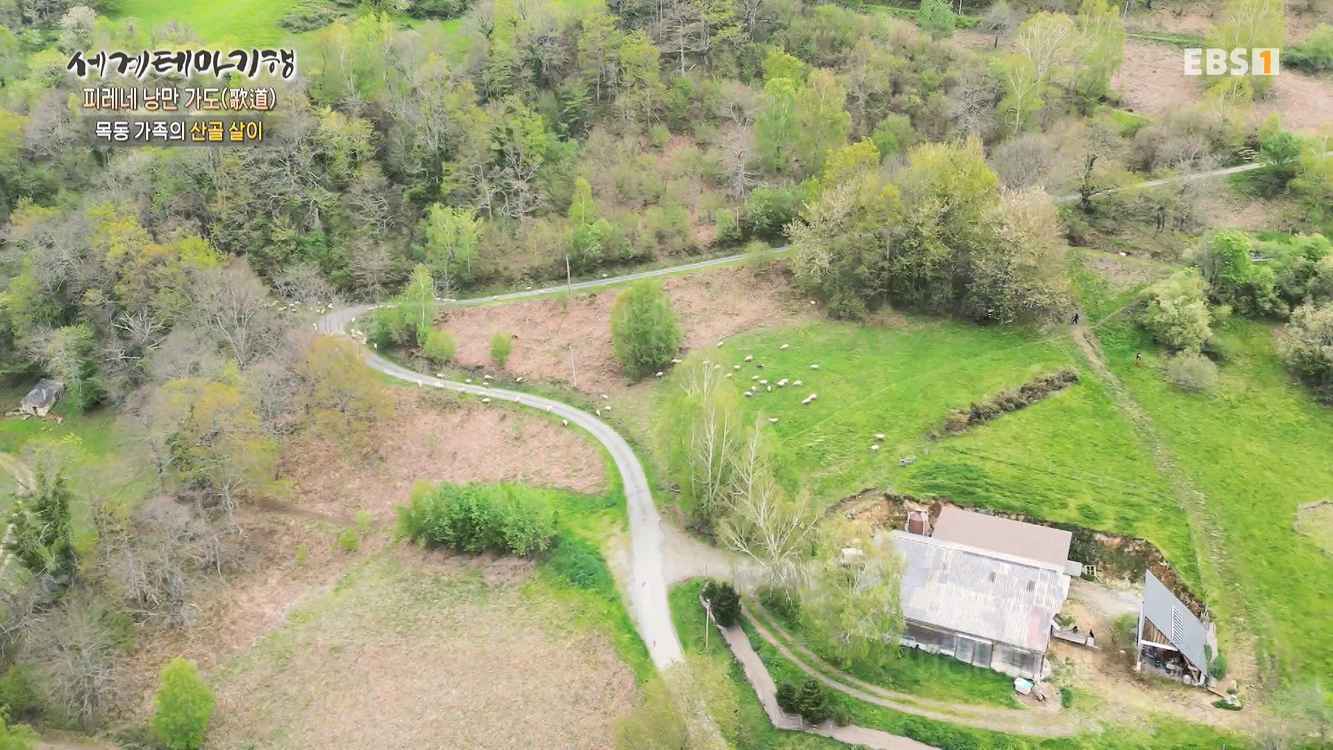 세계테마기행 231225 피레네 낭만 가도(歌道) -요정의 길을 따라, 비뉴말 트레킹0p.mp4_20240628_205005.296.jpg