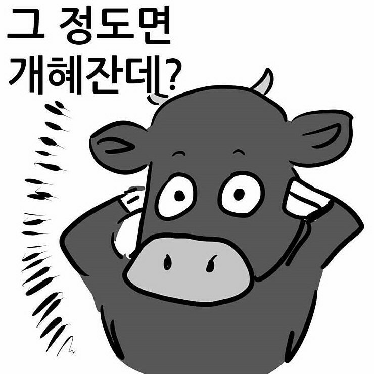 흑우 짤