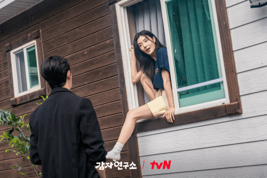 네이버, 다음 검색창에서