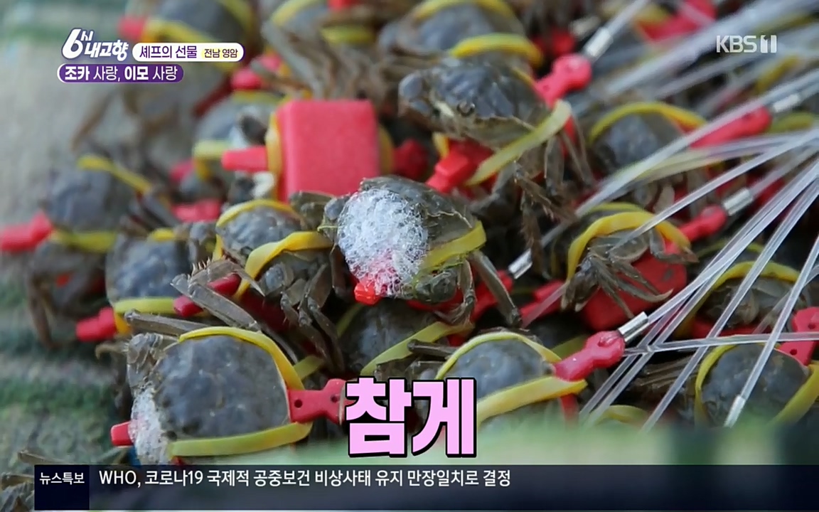 6시 내고향.E7512.220416p.H264-F1RST.mp4_20220502_193654.559.jpg