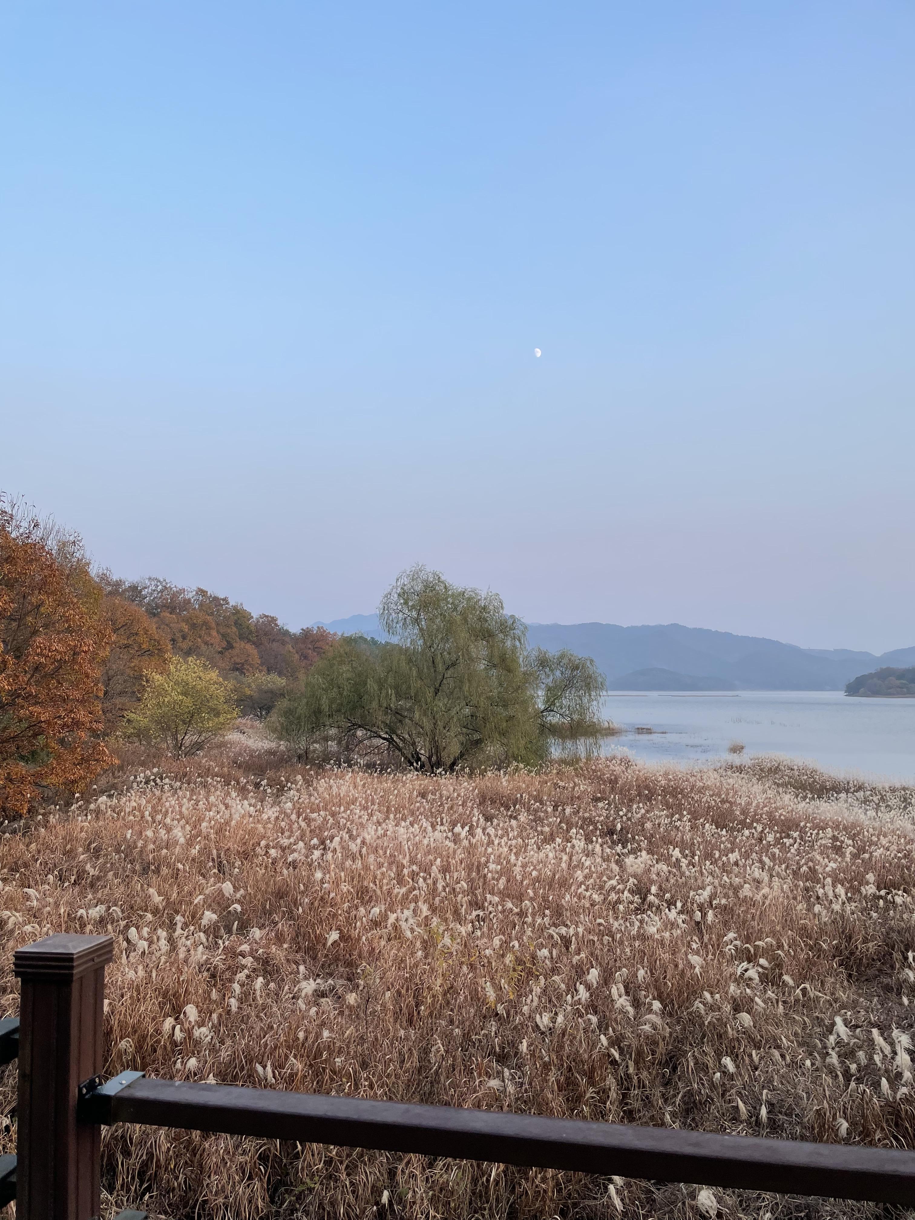 대청호 오백리길 4구간 주변 풍경 사진