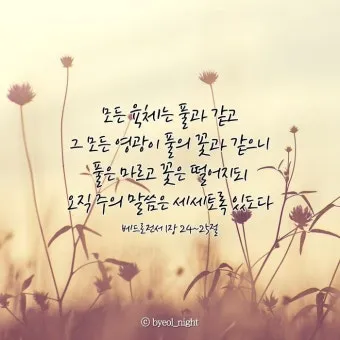 베드로전서 2장 9절 성경말씀 - 너희는 택하신 족속이요 왕 같은 제사장들이요_17