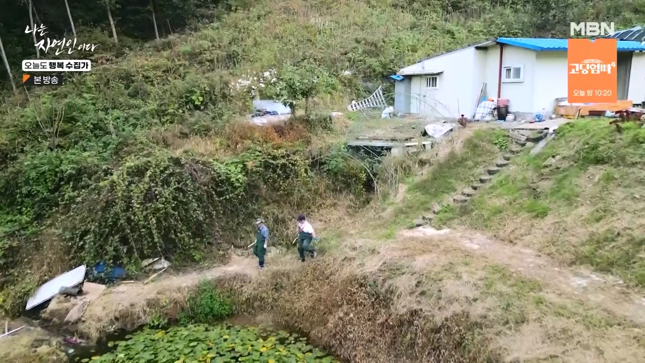 나는 자연인이다.E578.231102p-NEXT.mp4_20231102_202933.770.jpg